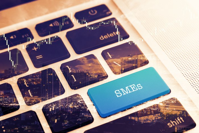 Romanian SMEs can apply for investment grants of up to EUR 2...