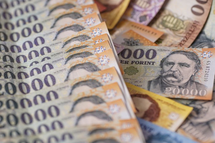 Banking Sector Forint Liquidity up in February