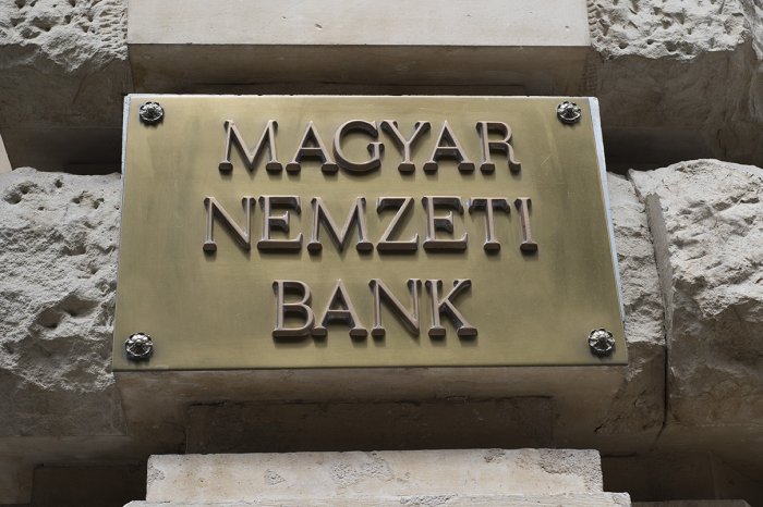 MNB buys HUF 50 bln in QE gov't securities