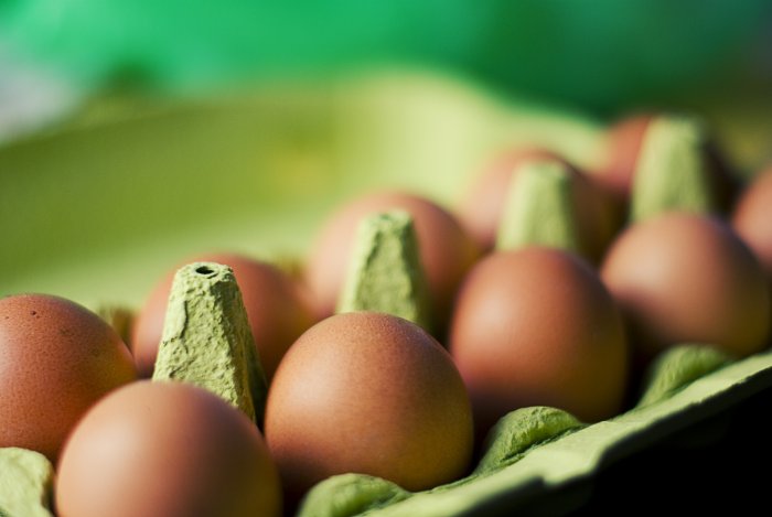 Ukraine Crisis: War reduces number of imported eggs