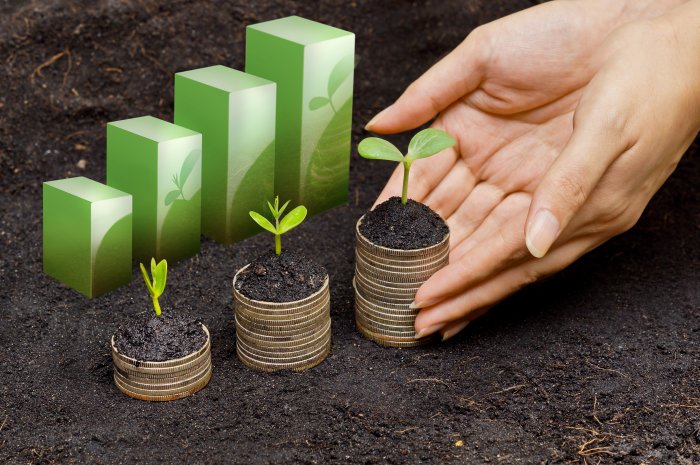 New HUF 7.3 bln support scheme for green economy capacity up...