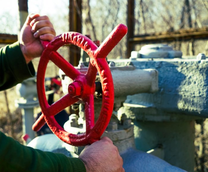 Ukraine Crisis: Gas supply secure despite pipeline shutdown
