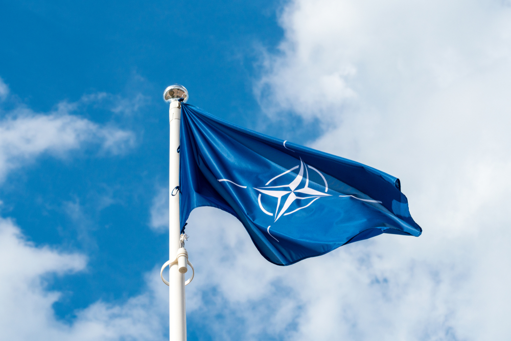 Convening NATO-Ukr Commission W/o Unanimity 'Violates' NATO ...
