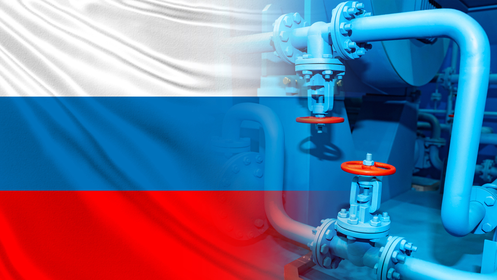 'No short-term replacement' for Russian energy imports - Kov...