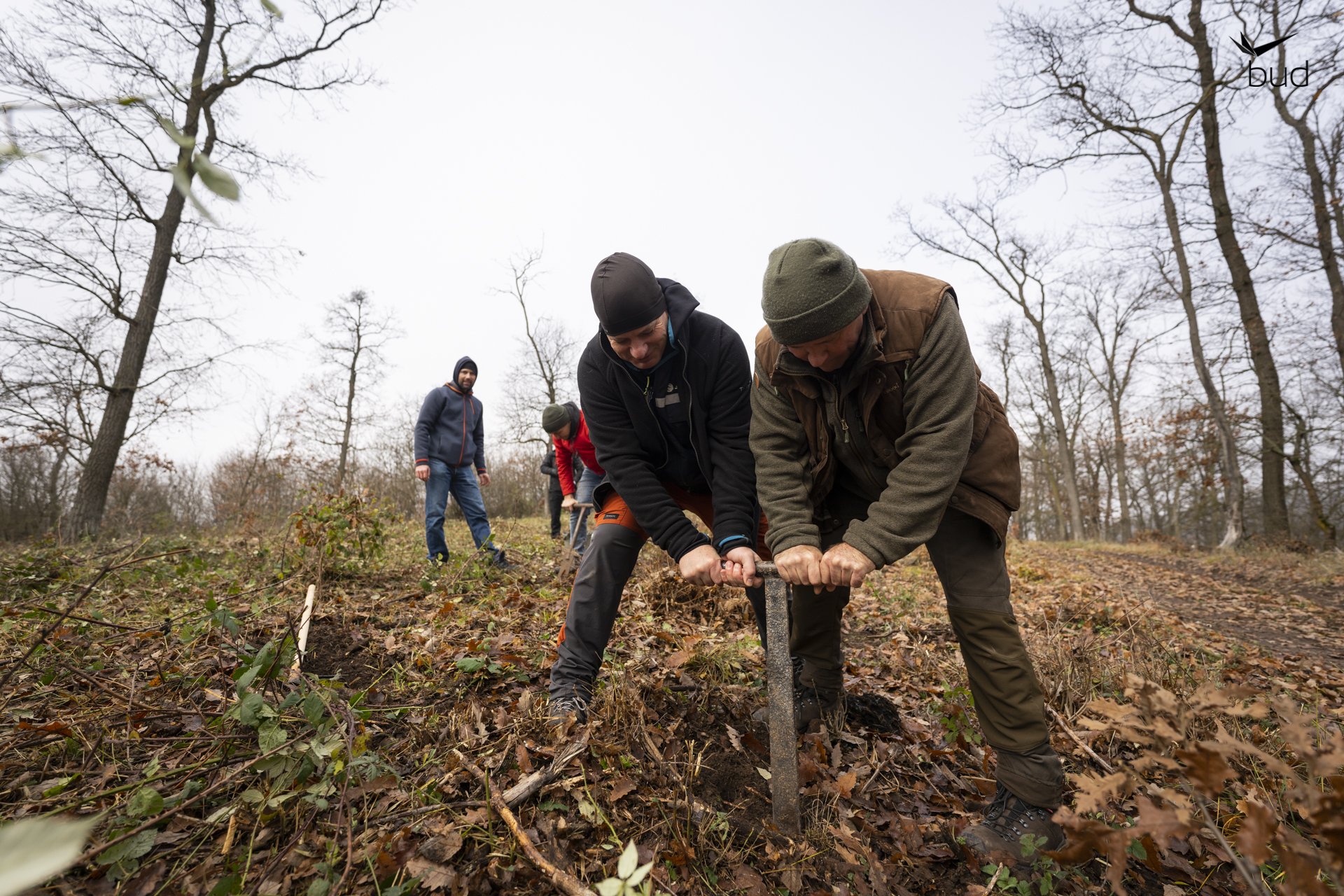 Budapest Airport Launches Tree Planting Program