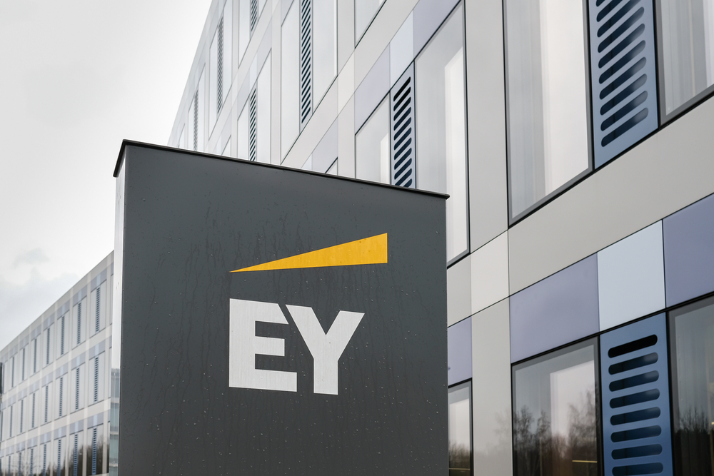 Hungary's Largest ESG Consultancy Formed by Merger of EY, De...